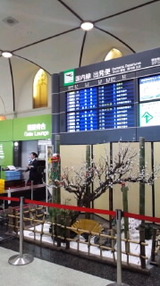 484d0211.jpg