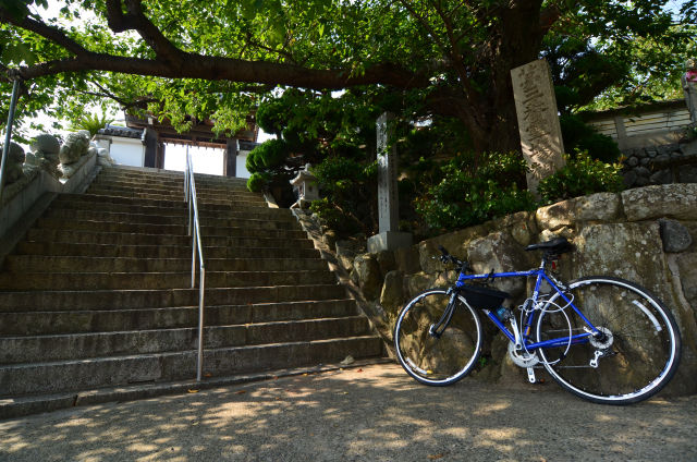 DSC_0293_243DSC_0293R