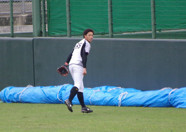 IMGP5288