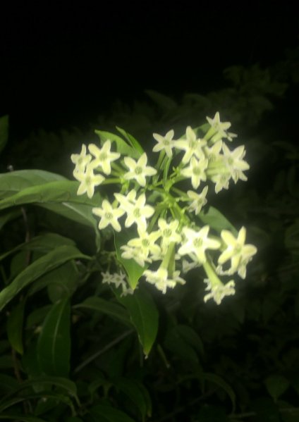 写真 2015-02-08 23 32 39
