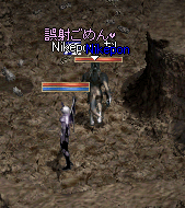 0504Nikepon