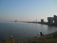 渡良瀬遊水地