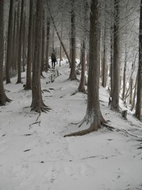 雪中行軍