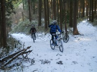 雪山トレイル、ダイトレ