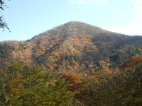 細尾峠からの紅葉