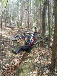 自転車の下敷き