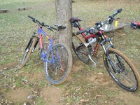 MTBで走る