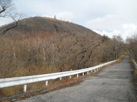 赤城山への登り、 もう落葉