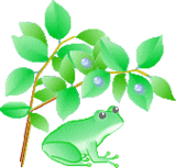 tuyu