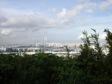 DSC03807