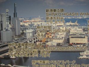 port (14)