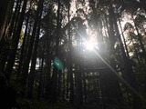 IMG_8028
