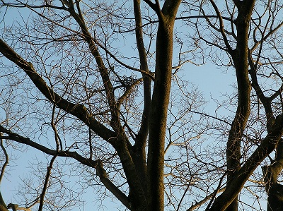 2838ebc4.jpg