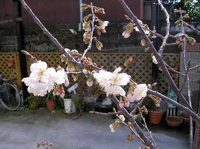 a8143e5a.jpg