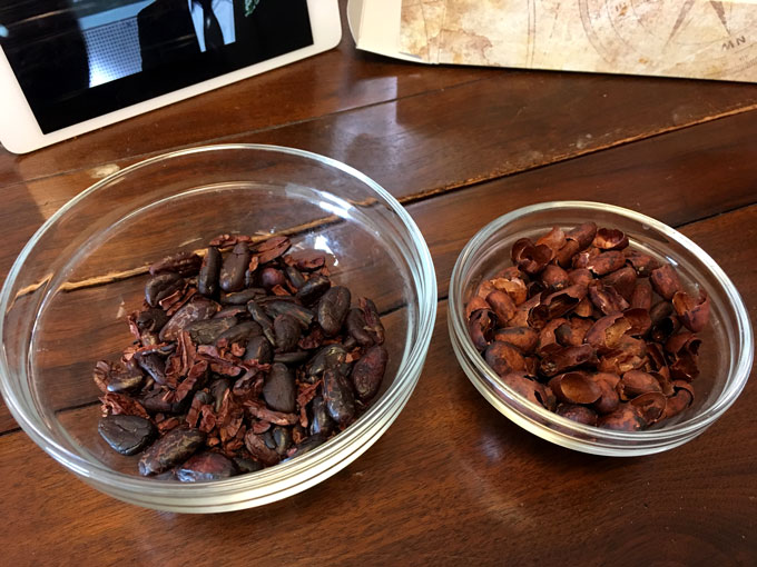 pickingbeans