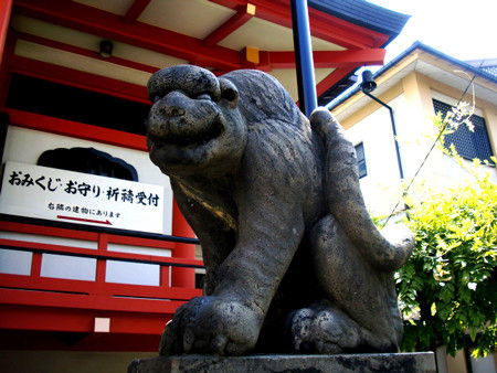 善國寺 狛虎