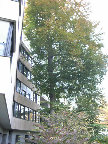 senn02