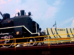 NEC_0488