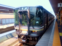 NEC_0495