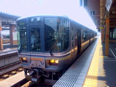 NEC_0497