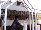 d358758f.jpg