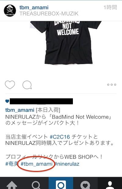 insta33