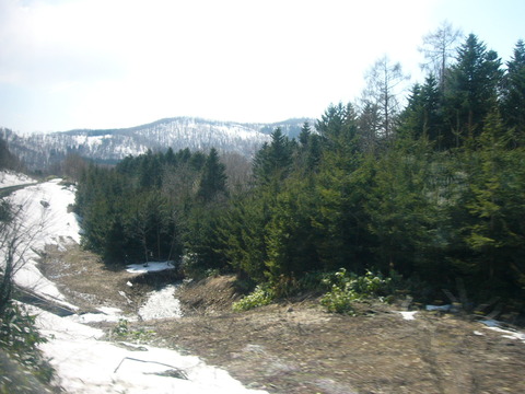 L1350717