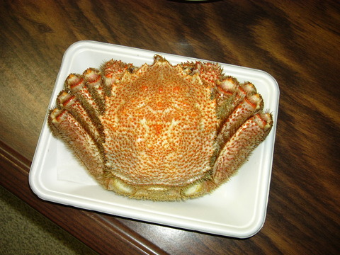 L1350620