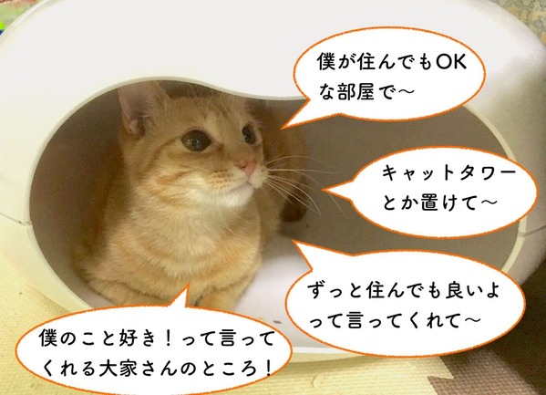 探します1