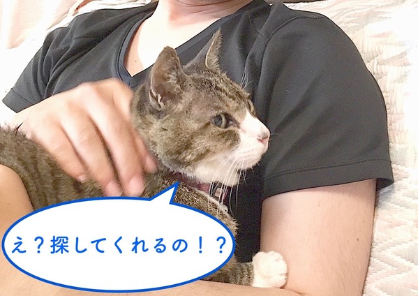 探します4