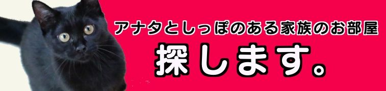 search