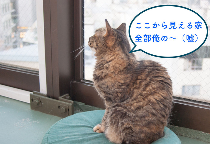 探します5