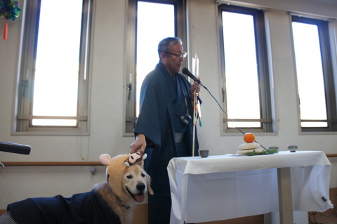 DSC02417