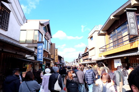 1-DSCF6884