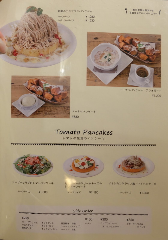 1-DSCF9229