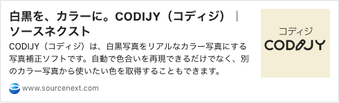 リンク02白黒をカラーにCODIJYコディジ
