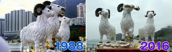 G_比較