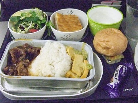 s2008_1217_0035_DSCF4661飛行機内NZ行き