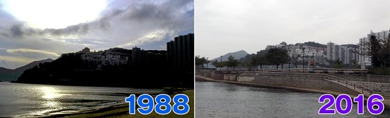 C_比較