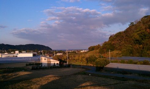 IMAG0146