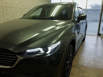 cx81