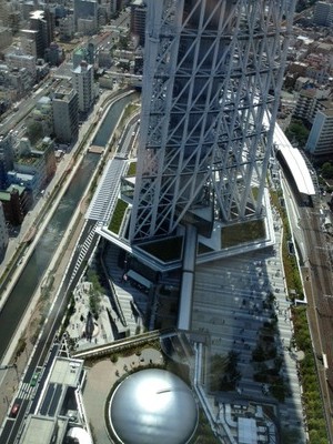 写真(1)