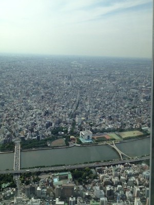 写真(2)