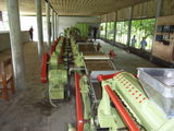 CTC Process1