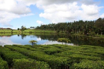 IMG_0644