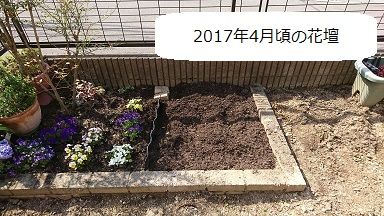 2017年4月頃の花壇