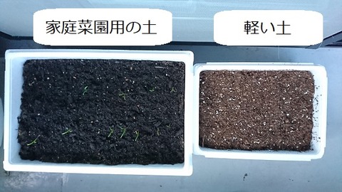 家庭菜園用の土と軽い土の比較