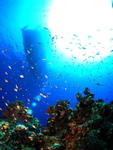1b234643.jpg