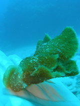 5778ccd1.jpg