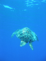 a02279e8.jpg